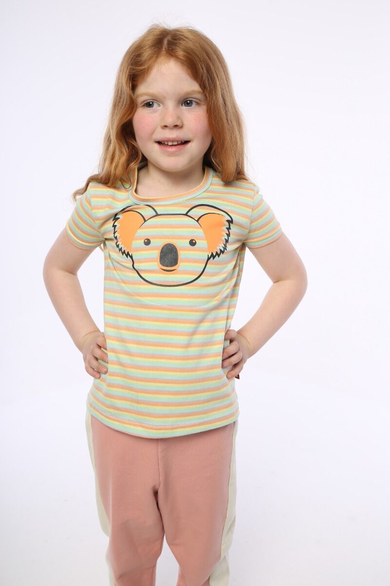 Dyrwildlife T Sherbert KOALA