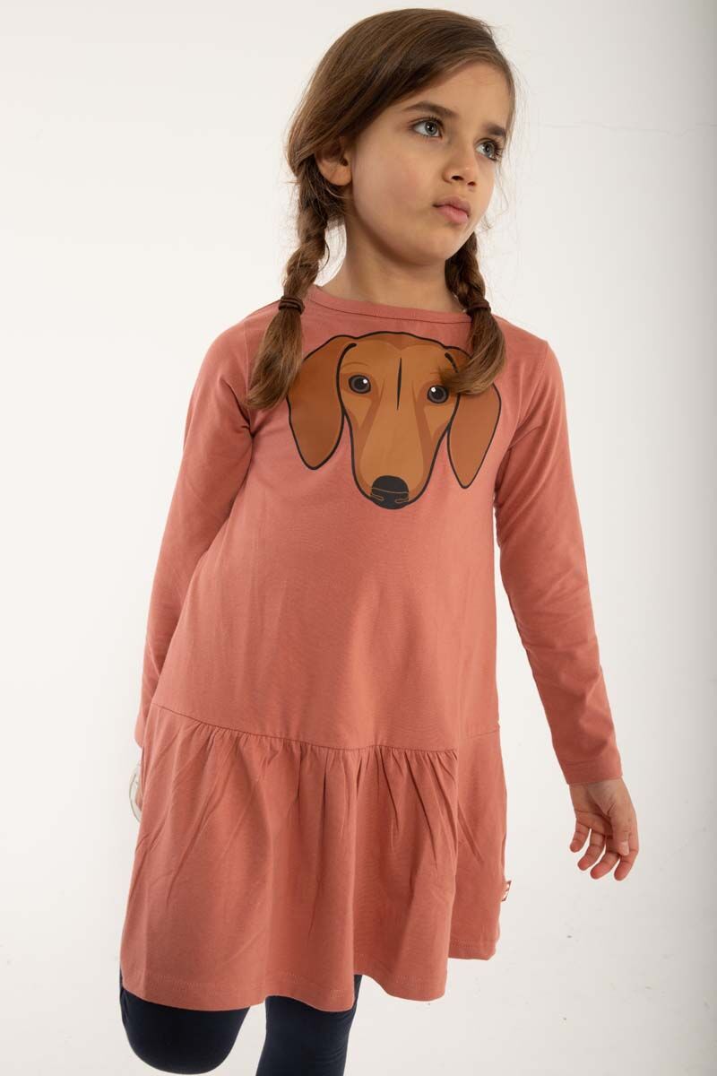 Dyrzanzi Dress LS Old Rose GRAVHUND